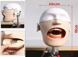 Foto van Schoonheid gezondheid high quality new stainless steel head model dental manikins phantom training s