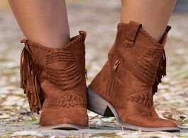 Foto van Schoenen 2020 vintage retro boots women western mid calf zipper boho fringe tassel winter female lad