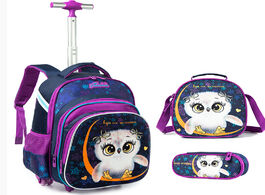 Foto van Tassen 3pcs rolling travel school backpacks for boys girl laptop teenagers satchel luggage large cap