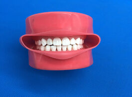Foto van Schoonheid gezondheid student learning model dental phantom head teeth silicone mask with 28 pieces 