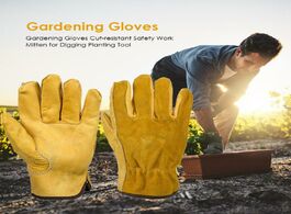 Foto van Gereedschap 1pair heavy duty gardening gloves for men women thorn proof leather work waterproof slim