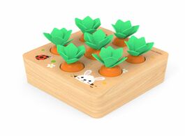 Foto van Speelgoed kids montessori toys block set alpinia shape matching for children baby wooden size cognit