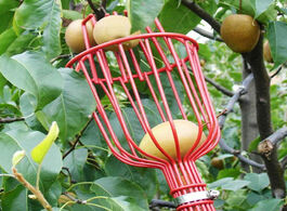 Foto van Gereedschap garden tools deep basket fruit picker head convenient catcher apple peach picking farm d
