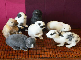Foto van Huis inrichting taxidermy stuffing rabbit bunny fur specimen teaching decoration 1pcs random