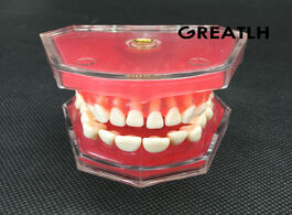 Foto van Schoonheid gezondheid dental study teaching model standard removable teeth soft gum adult typodont