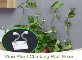 Foto van Huis inrichting 100pcs garden vegetable plant support binding clip vine climbing wall fixer non mark