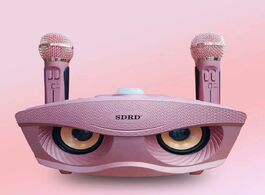 Foto van Sport en spel sd306 dual wireless microphone bluetooth speaker mobile karaoke stereo set
