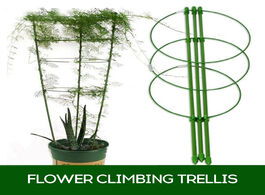 Foto van Huis inrichting flower climbing trellis plant stem support vegetable supports rack garden bracket fo
