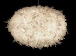 Foto van Lampen verlichting studyset led romantic white feather ceiling lamp hanging pendant for bedroom livi