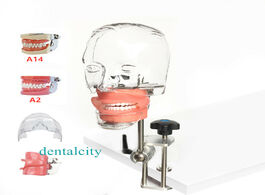 Foto van Schoonheid gezondheid dental simulator nissin manikin phantom head model with new style bench mount 