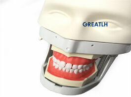 Foto van Schoonheid gezondheid dentist phantom head simulation practice model dental training teeth teaching