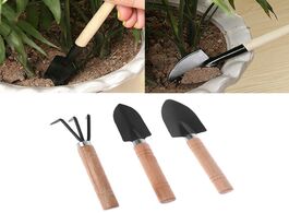 Foto van Gereedschap mini iron garden shovel rake spade erramientas bonsai tools set 3pcs wooden handle for f
