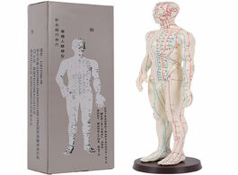 Foto van Schoonheid gezondheid acupuncture model 50cm male female with base human meridians starter kit