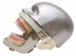Foto van Schoonheid gezondheid dental simulator manikin phantom head demonstrations practical exercises