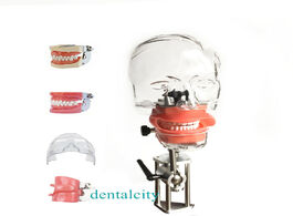 Foto van Schoonheid gezondheid head model dental simulator4000074621961 phantom with new style bench mount fo