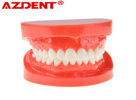 Foto van Schoonheid gezondheid dental prosthesis teeth model jaw standard typodont demonstration denture teac