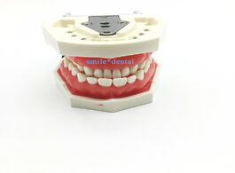 Foto van Schoonheid gezondheid dental nissin manikin phantom head model dentist practice simulator simple