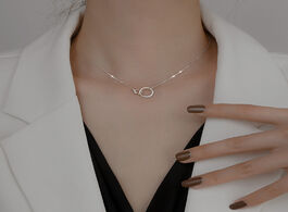 Foto van Sieraden trendy 925 sterling silver round double circle cz zirconia necklaces pendants for women par