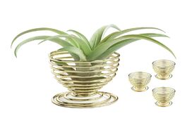 Foto van Meubels 4 pack air plants holders plant wall no container stand display included hanger tabletop gol