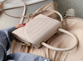 Foto van Tassen stone pattern pu leather crossbody bags for women 2021 luxury quality shoulder simple bag lad