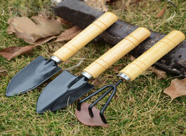 Foto van Gereedschap hot sale 3pc set mini garden hand tool kit plant gardening shovel spade rake with wood h