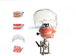 Foto van Schoonheid gezondheid head model dental simulator nissin manikin phantom with new style bench mount 