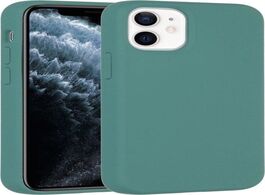 Foto van Accezz liquid silicone backcover iphone 12 mini telefoonhoesje groen 