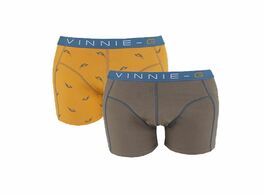 Vinnie g boys boxershorts wakeboard grey print 2 pack 140 146