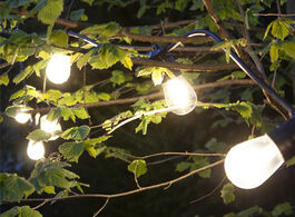 Foto van Dreamled decoratieve verlichting 10 led lampen