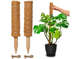 Foto van Fedec mosstok voor planten plantenstok 30cm tot 50cm 2 stuks