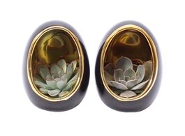 Foto van Echeveria in decorative egg black gold set of 2